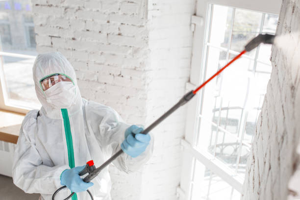 Best Mold Remediation for Vacation Homes  in Grovetown, GA