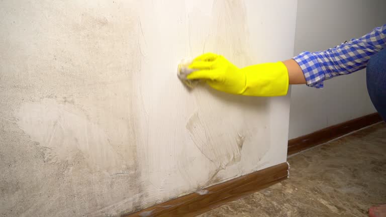 Best Mold Remediation for Healthcare Facilities  in Grovetown, GA