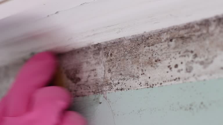 Best Mold Odor Removal Services  in Grovetown, GA